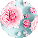 Mi Yama profile picture